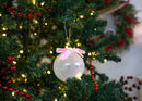 Elanze Designs Sisters By Heart Silver Tone 4 inch Blown Glass Ball Christmas Ornament