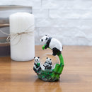 Home decor water globe perfect for table top display