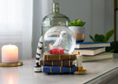 Elanze Designs Snowy White Owl 100MM Musical Snow Globe Plays Tune Fantasie Impromptu