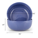 Elanze Designs Bistro Glossy Ceramic 8.5 inch Pasta Bowls Set of 2, Purple