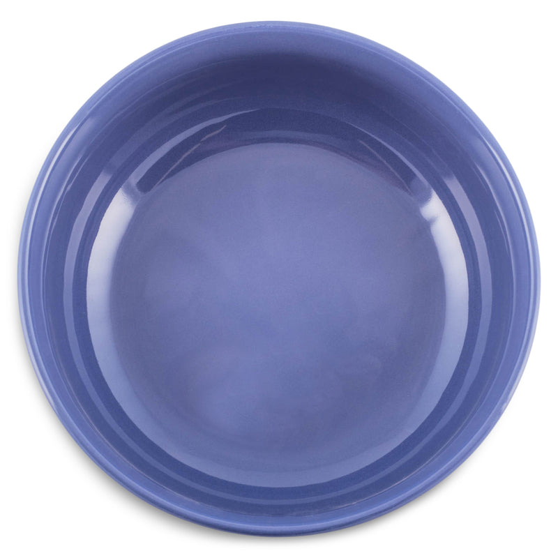 Elanze Designs Bistro Glossy Ceramic 8.5 inch Pasta Bowls Set of 2, Purple