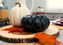 Midnight Black 6 inch Resin Harvest Decorative Pumpkin