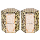 Tyler Candle Company 16190 Platinum 2 Ounce Boxed Votive Candle, Pack of 2
