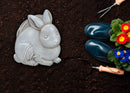 Nat & Jules Bunny Stone Color 11 inch Resin Stepping Stone