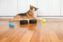 Nat & Jules Nibbles and Dribbles Black 7 inch Stoneware Large Pet Bowls Set of 2