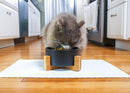 Nat & Jules Small Black 6 inch Stoneware Ceramic and Wood Pet Bowl With Stand