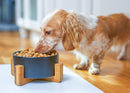 Nat & Jules Small Black 6 inch Stoneware Ceramic and Wood Pet Bowl With Stand