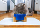 Nat & Jules Small Navy 6 inch Stoneware Ceramic and Wood Pet Bowl With Stand