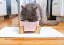 Nat & Jules Small Pink 6 inch Stoneware Ceramic and Wood Pet Bowl With Stand