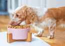 Nat & Jules Small Pink 6 inch Stoneware Ceramic and Wood Pet Bowl With Stand