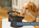 Nat & Jules Mine Also Mine Black 6 inch Stoneware Raised Pet Food and Water Bowls Set of 2