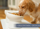 Nat & Jules Mine Also Mine White 6 inch Stoneware Raised Pet Food and Water Bowls Set of 2