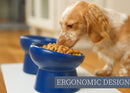 Nat & Jules Mine Also Mine Navy 6 inch Stoneware Raised Pet Food and Water Bowls Set of 2