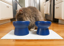 Nat & Jules Mine Also Mine Navy 6 inch Stoneware Raised Pet Food and Water Bowls Set of 2