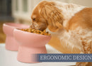 Nat & Jules Mine Also Mine Pink 6 inch Stoneware Raised Pet Food and Water Bowls Set of 2