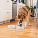 Nat & Jules Nibbles and Dribbles White 7 inch Stoneware Large Pet Bowls Set of 2