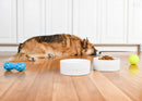 Nat & Jules Nibbles and Dribbles White 7 inch Stoneware Large Pet Bowls Set of 2