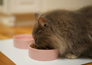 Nat & Jules Nibbles and Dribbles Pink 5 inch Stoneware Small Pet Bowls Set of 2