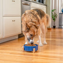 Nat & Jules Large Navy 8 inch Stoneware Ceramic and Wood Pet Bowl With Stand
