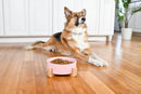 Nat & Jules Large Pink 8 inch Stoneware Ceramic and Wood Pet Bowl With Stand