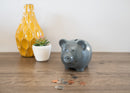 Nat & Jules Smiling Matte Grey 7 x 5 Ceramic Piggy Bank
