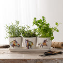 DEMDACO Dean Crouser Nature Inspired Watercolor On White 11 x 4 Bamboo Composite Standing Planter Set of 3 (Horse)