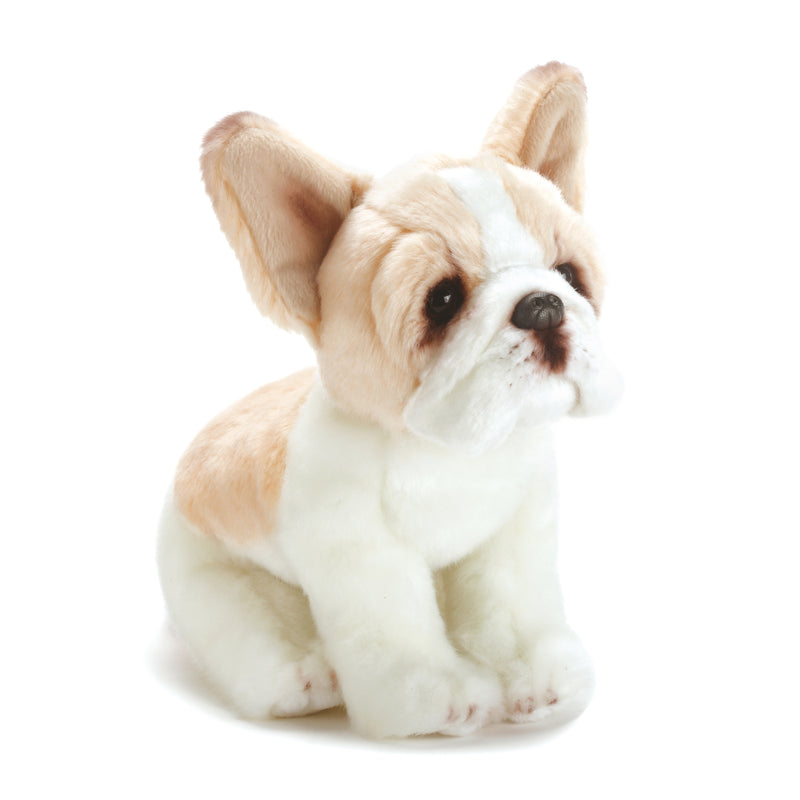 Nat and Jules Sitting Small French Bulldog Light Brown And White Childrens Plush Stuffed Animal