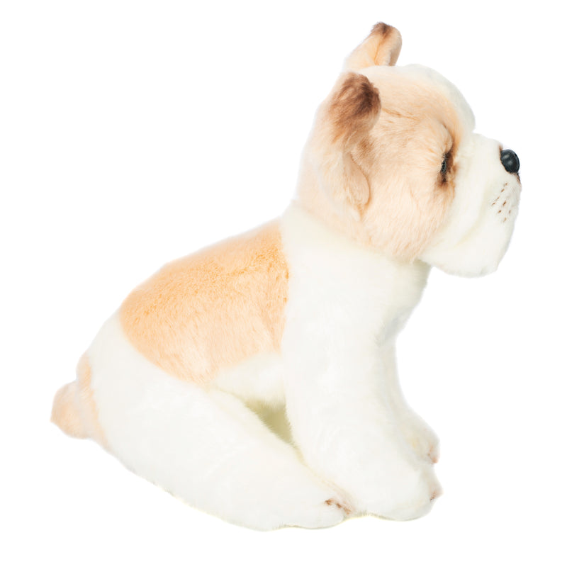 Nat and Jules Sitting Small French Bulldog Light Brown And White Childrens Plush Stuffed Animal