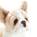 Nat and Jules Sitting Small French Bulldog Light Brown And White Childrens Plush Stuffed Animal