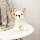 Nat and Jules Sitting Small French Bulldog Light Brown And White Childrens Plush Stuffed Animal