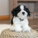 DEMDACO Sitting Small Havanese Dog Black and White Childrens Plush Stuffed Animal