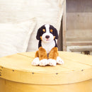 DEMDACO Bernese Mountain Dog Childrens Plush Beanbag Stuffed Animal Toy