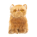 Nat and Jules Small Persian Cat Friend Muted Orange Childrens Plush Stuffed Animal Toy