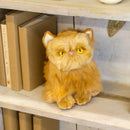 Nat and Jules Small Persian Cat Friend Muted Orange Childrens Plush Stuffed Animal Toy