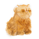 Nat and Jules Small Persian Cat Friend Muted Orange Childrens Plush Stuffed Animal Toy