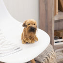 DEMDACO Wheaten Terrier Dog Light Brown Childrens Plush Beanbag Stuffed Animal Toy