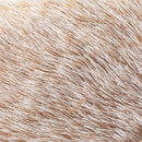 DEMDACO Huddled Small Hedgehog Wispy Chestnut Childrens Plush Stuffed Animal