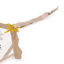 Savior is Born Brown 8 x 7.75 Wood Holiday Decorative String Nativity Sign