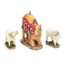 Set of 3 Kneeling Camel and Two Awassi Sheep Nativity Figurines - 7 inch Scale