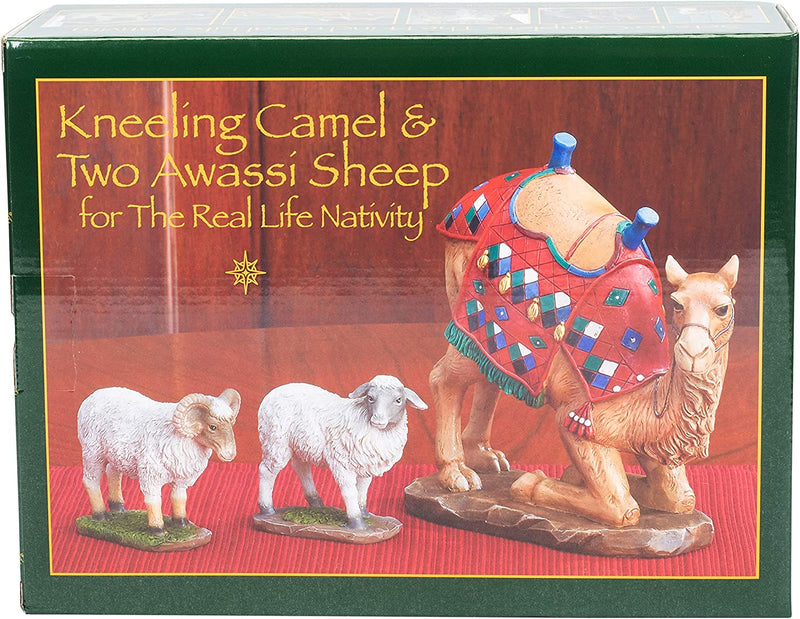 Set of 3 Kneeling Camel and Two Awassi Sheep Nativity Figurines - 10 inch Scale