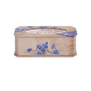 Sister You are Loved Butterfly and Bird Glitter Musical Box Plays Tune Light Up My Life