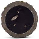 Playful Dolphins Figurine 100MM Water Globe Plays Tune Blue Daube Waltz