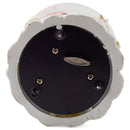 Red Dragon with Unicorn Figurine 100MM Water Globe Plays Tune Impromptu