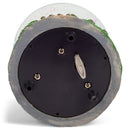 Washington DC Capitol 100mm Resin Glitter Water Globe Plays Tune Star Spangled Banner