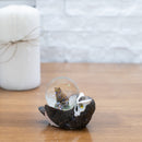 Home decor water globe perfect for table top display