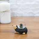 Home decor water globe perfect for table top display