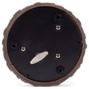 Triceratops Fossils Brown 5.5 x 3.9 Resin Stone Glitter Globe Plays Born Free