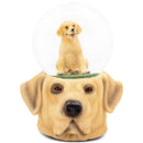 Golden Retriever Dog Brown 6.3 x 5.3 Resin Stone Glitter Globe Plays Born Free