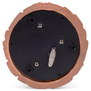 T-Rex Holding Bone Brown 5.2 x 3.9 Resin Glitter Globe Plays Fantasie Impromptu