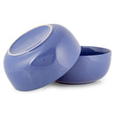 Elanze Designs Bistro Glossy Ceramic 8.5 inch Pasta Bowls Set of 2, Purple